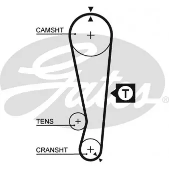 Courroie crantée GATES 5227XS