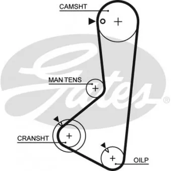 Courroie crantée GATES 5256XS
