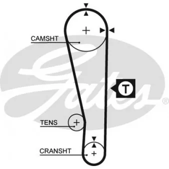 Courroie crantée GATES 5274XS