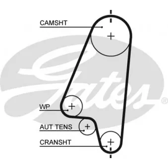 Courroie crantée GATES 5310XS