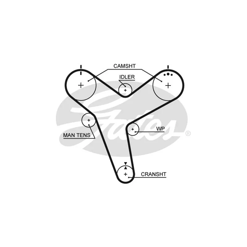 Courroie crantée GATES 5380XS