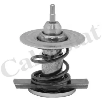 Thermostat, liquide de refroidissement CALORSTAT BY VERNET TH9451.92J