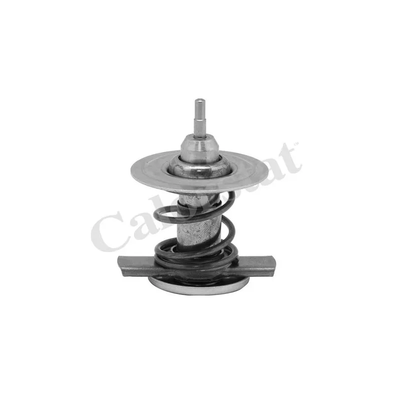 Thermostat, liquide de refroidissement CALORSTAT BY VERNET TH9451.92J
