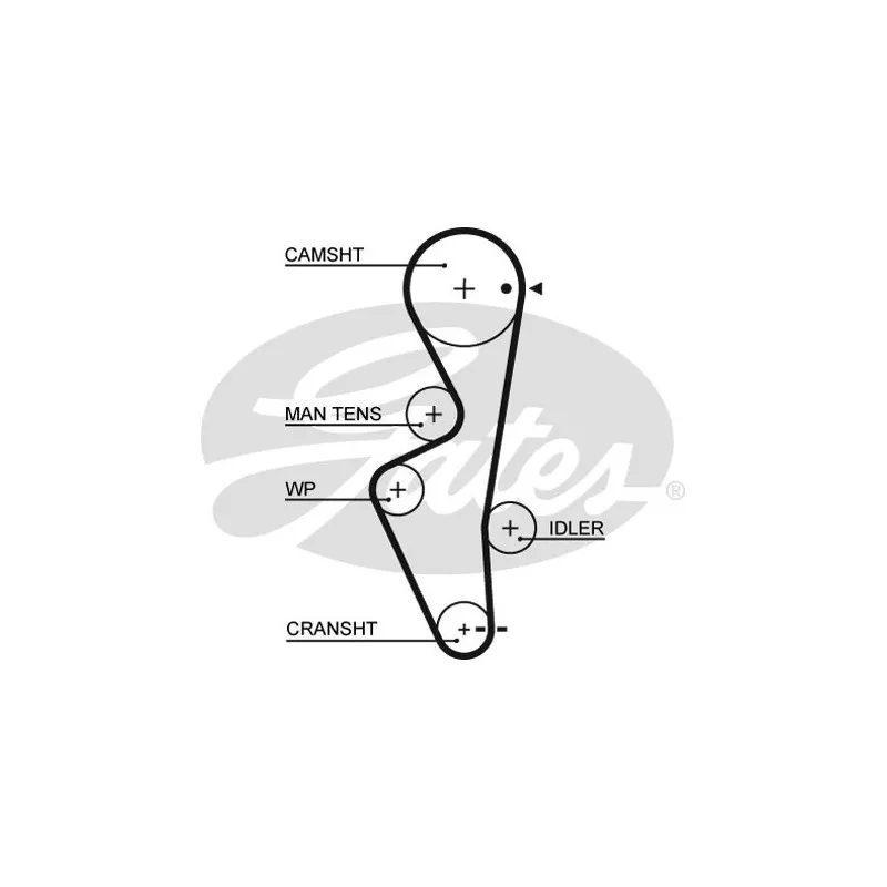 Courroie crantée GATES 5430XS