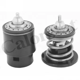 Thermostat, liquide de refroidissement CALORSTAT BY VERNET THK7267.80