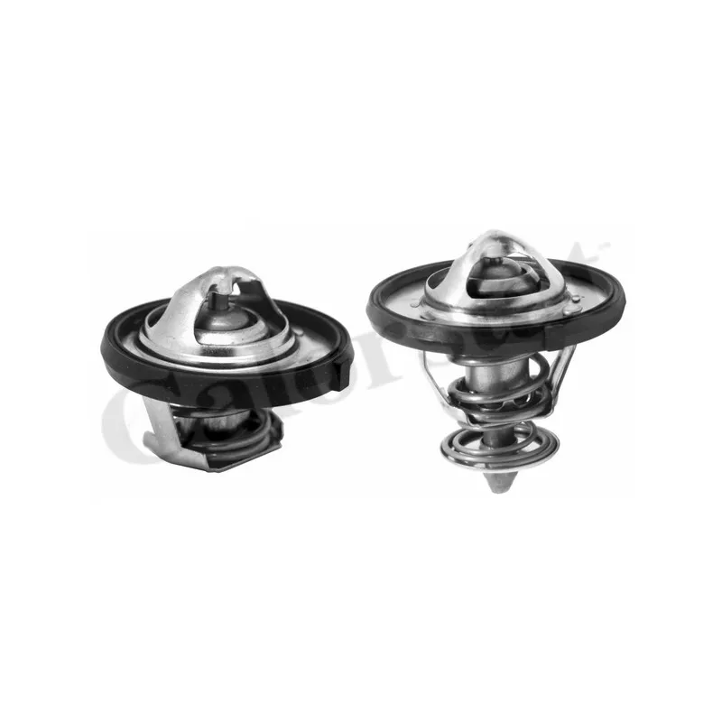 Thermostat, liquide de refroidissement CALORSTAT BY VERNET THK7310.77J