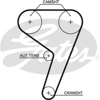 Courroie crantée GATES 5433XS