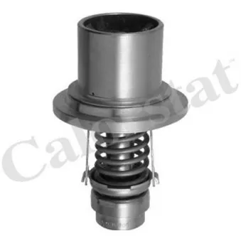 Thermostat, liquide de refroidissement CALORSTAT BY VERNET THS13555.82