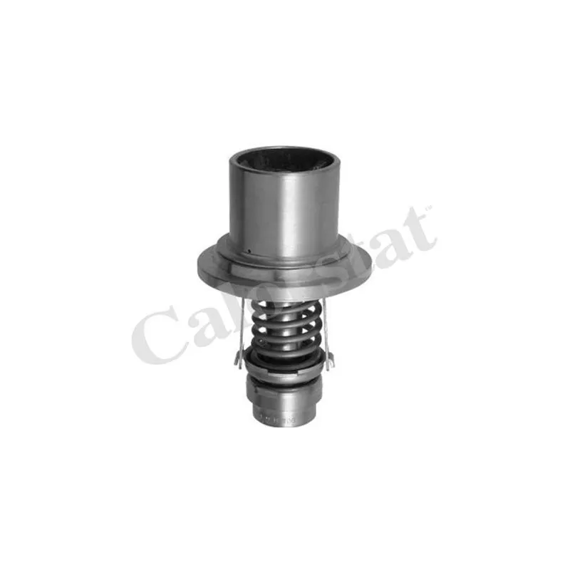 Thermostat, liquide de refroidissement CALORSTAT BY VERNET THS13555.82