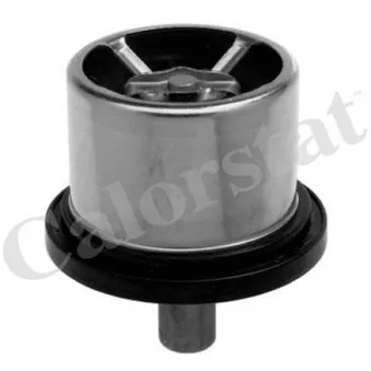 Thermostat, liquide de refroidissement CALORSTAT BY VERNET