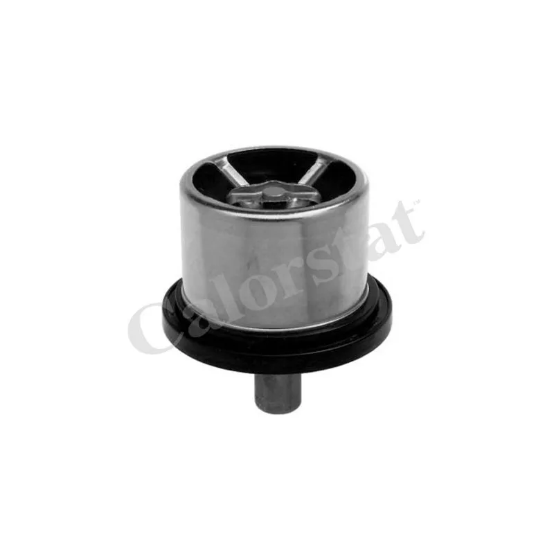Thermostat, liquide de refroidissement CALORSTAT BY VERNET THS16957.82