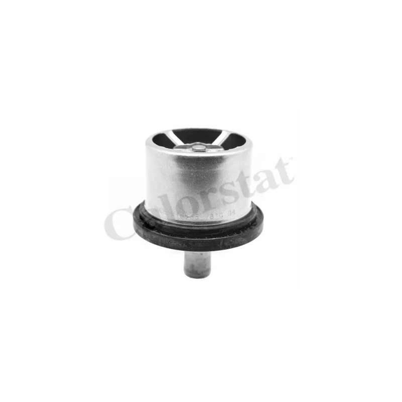 Thermostat, liquide de refroidissement CALORSTAT BY VERNET THS16965.79
