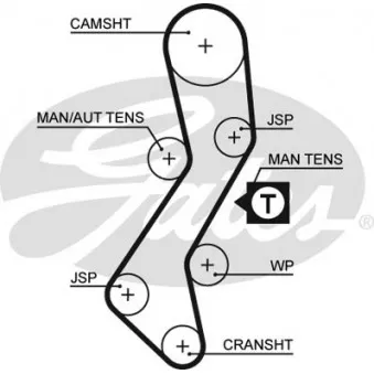 Courroie crantée GATES 5451XS