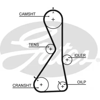 Courroie crantée GATES 5481XS