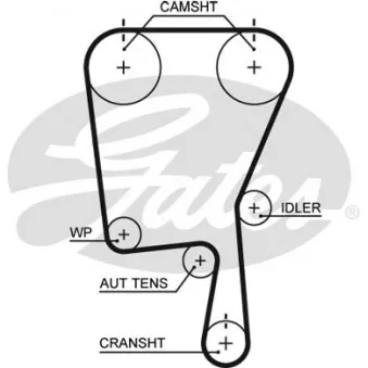 Courroie crantée GATES 5490XS