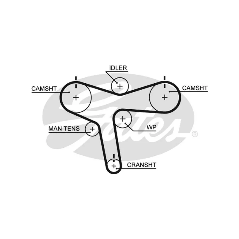 Courroie crantée GATES 5515XS