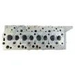 Culasse de cylindre FRECCIA CH17-1001 - Visuel 1