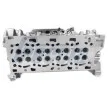Culasse de cylindre FRECCIA CH17-1004 - Visuel 1