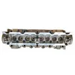 Culasse de cylindre FRECCIA CH17-1008 - Visuel 2
