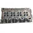 Culasse de cylindre FRECCIA CH17-1009 - Visuel 2
