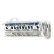 Culasse de cylindre FRECCIA CH17-1011 - Visuel 3