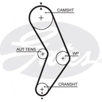 Courroie crantée GATES 5662XS
