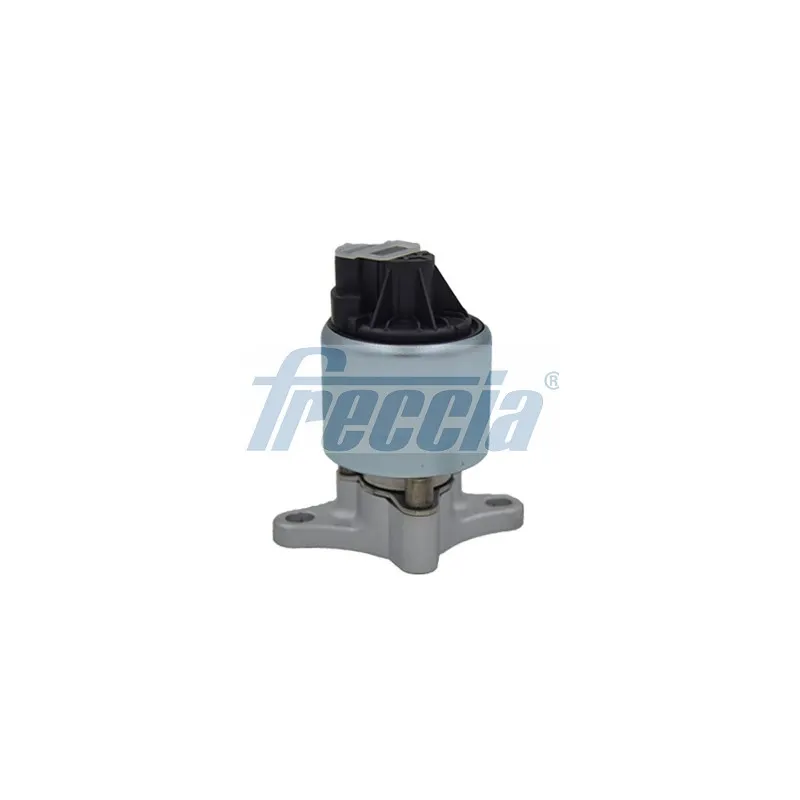 Vanne EGR FRECCIA EGR12-109