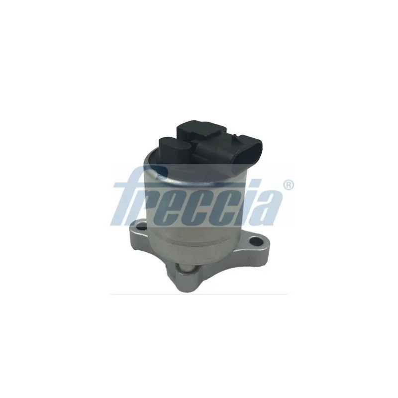 Vanne EGR FRECCIA EGR12-110