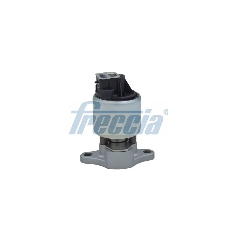 Vanne EGR FRECCIA EGR12-111
