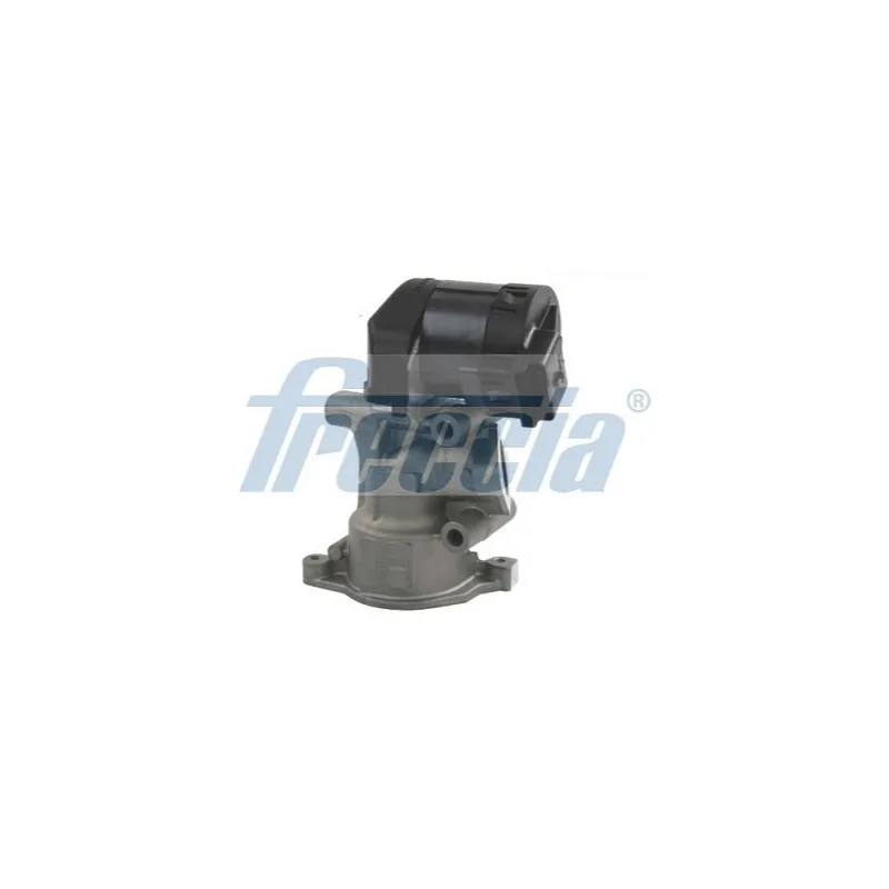 Vanne EGR FRECCIA EGR12-113