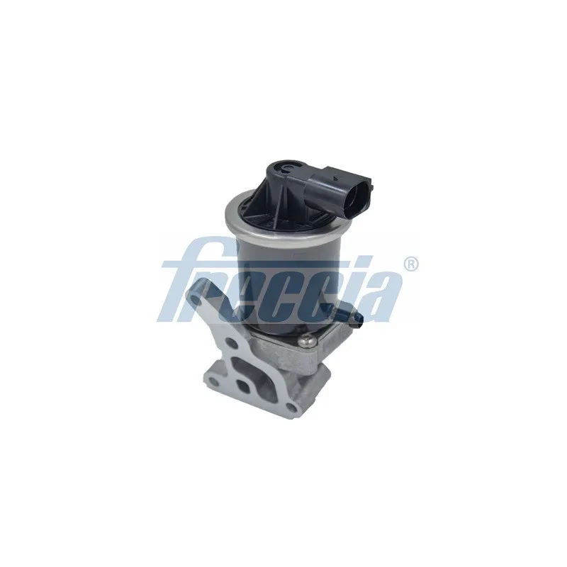 Vanne EGR FRECCIA EGR12-121