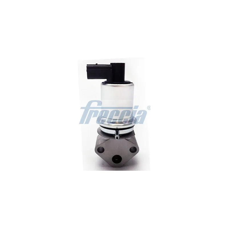 Vanne EGR FRECCIA EGR12-129