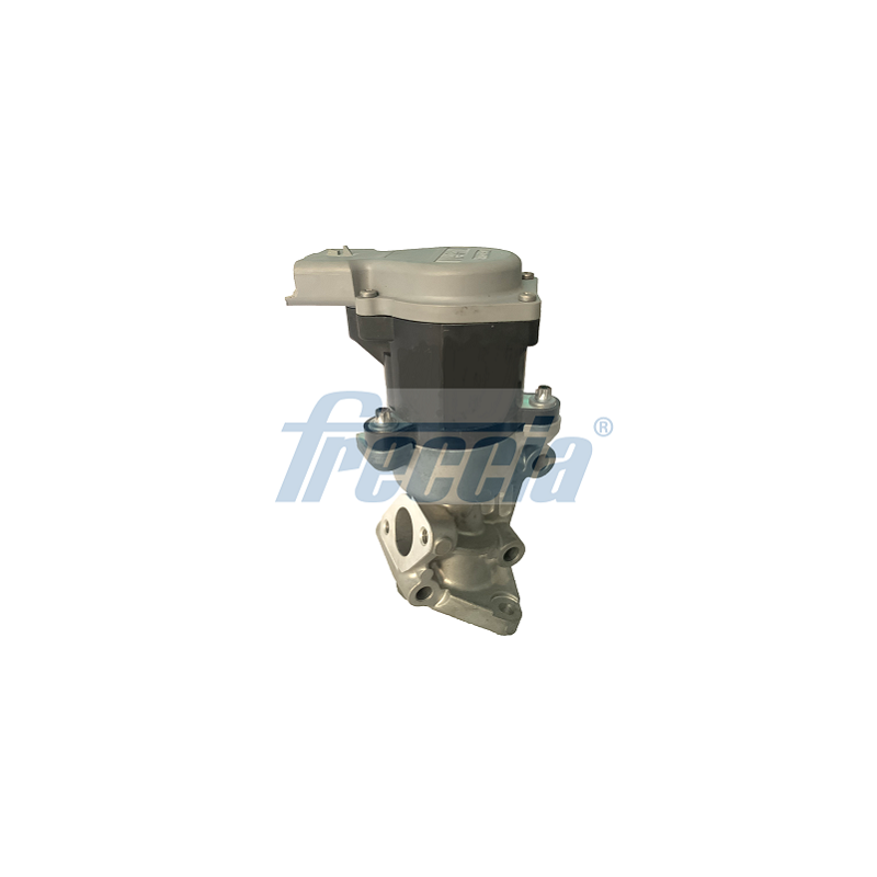 Vanne EGR FRECCIA EGR12-167