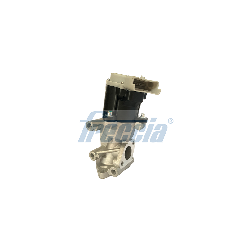 Vanne EGR avant droit FRECCIA EGR12-169