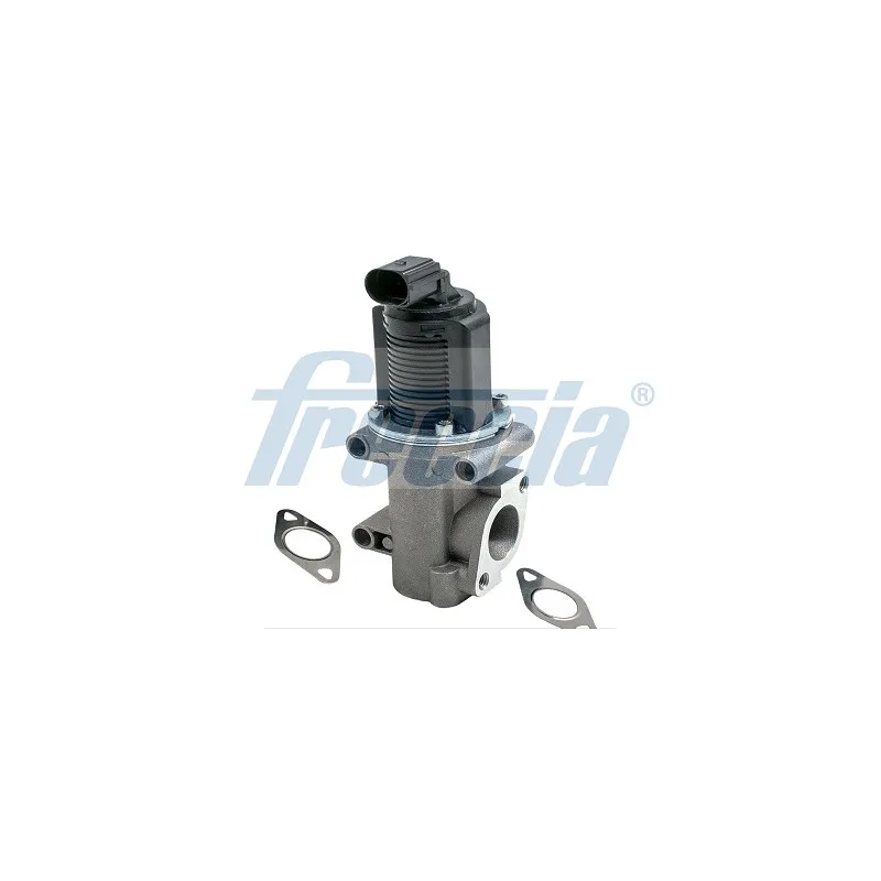 Vanne EGR FRECCIA EGR12-171