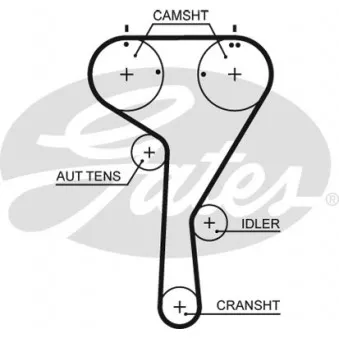 Courroie crantée GATES 5680XS