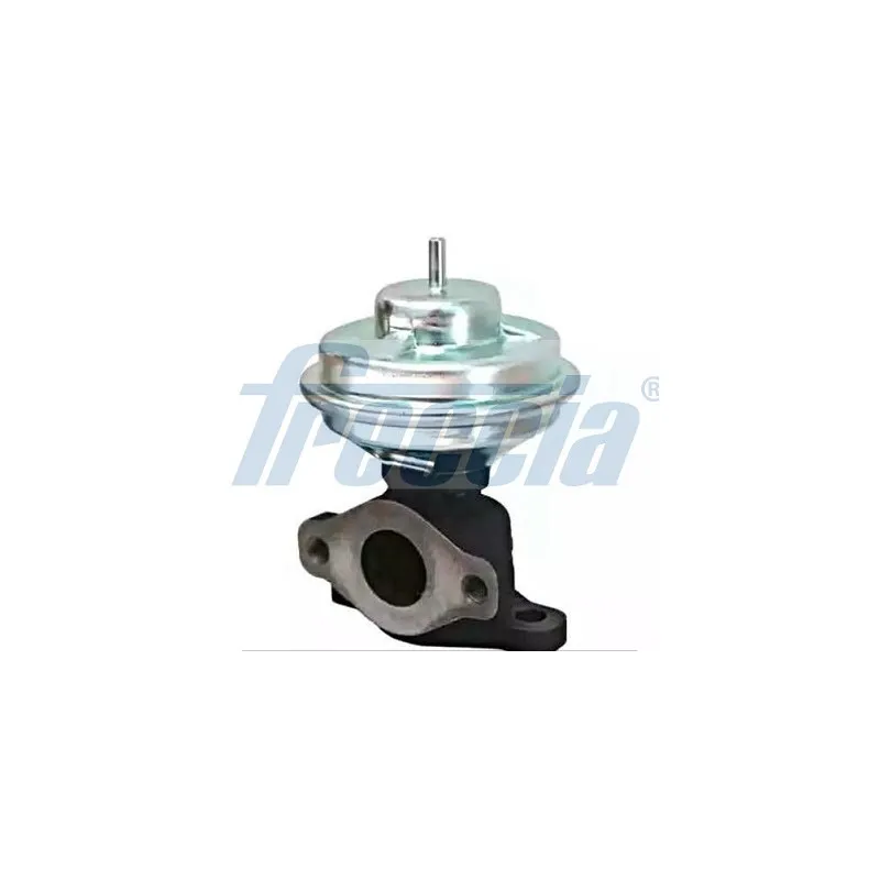 Vanne EGR FRECCIA EGR12-189