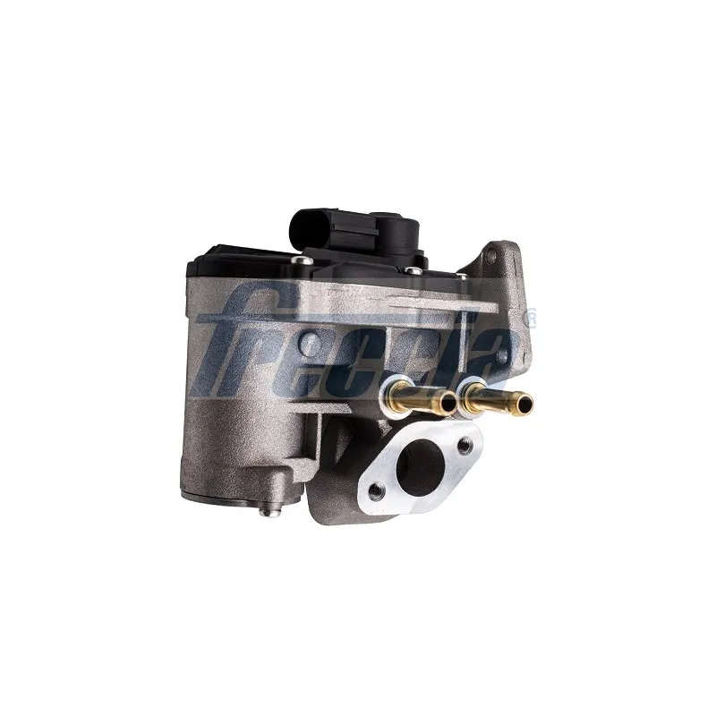 Vanne EGR FRECCIA EGR12-194