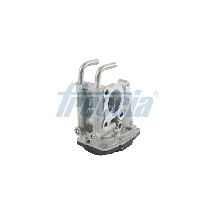 Vanne EGR FRECCIA EGR12-197