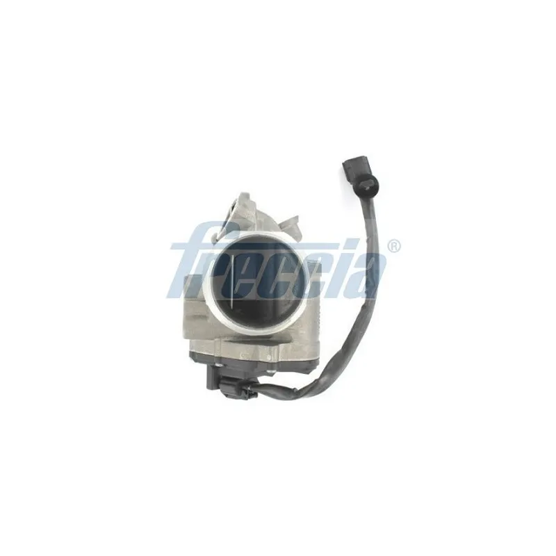 Vanne EGR FRECCIA EGR12-208
