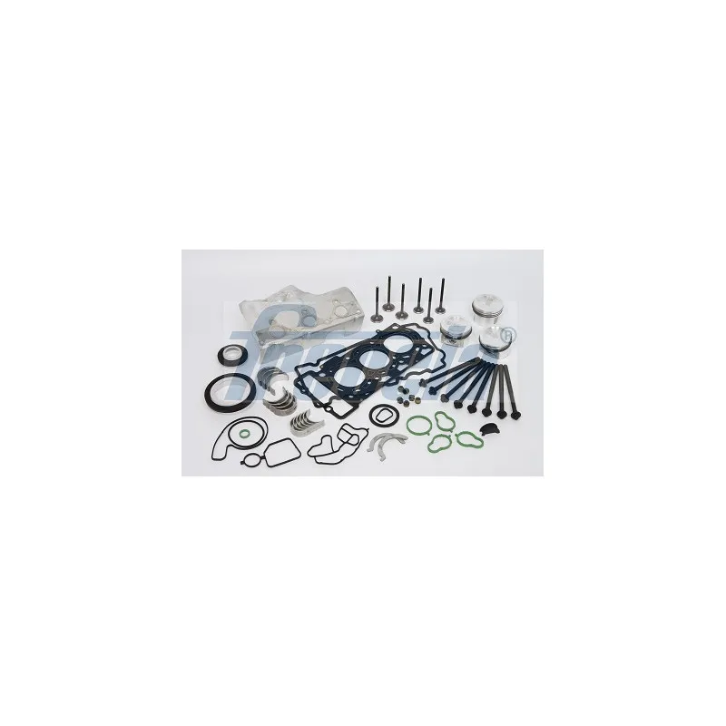 Piston FRECCIA FR600-50SR