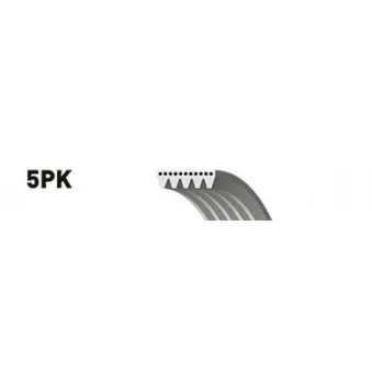 Courroie trapézoïdale à nervures GATES 5PK1260ES