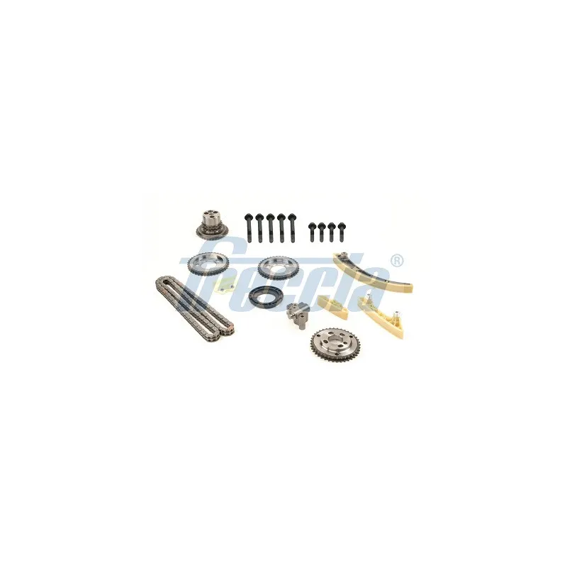 Kit de distribution par chaîne FRECCIA TK08-1153