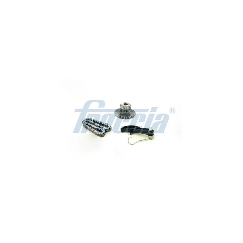 Kit de distribution par chaîne FRECCIA TK08-1155