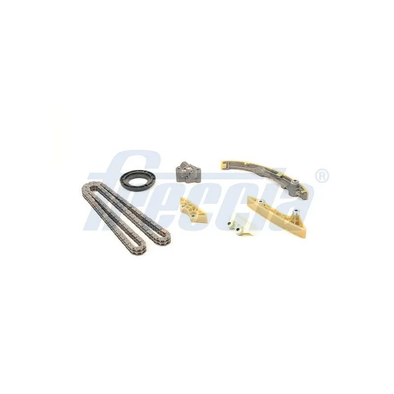 Kit de distribution par chaîne FRECCIA TK08-1161