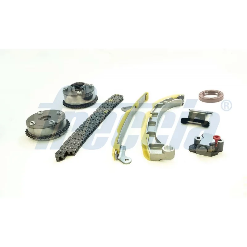 Kit de distribution par chaîne FRECCIA TK08-1165