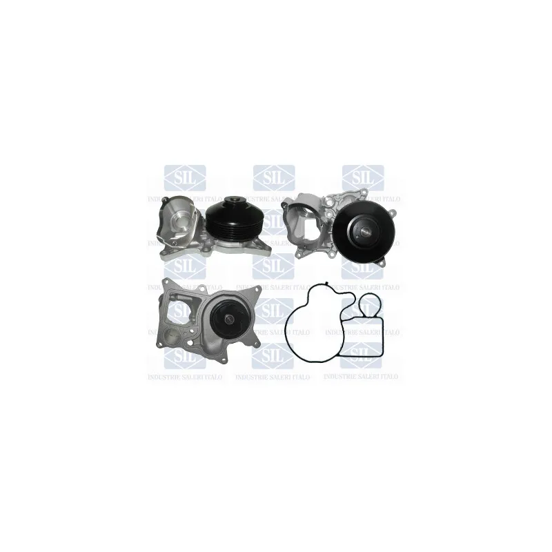 Pompe à eau Saleri SIL PA1580