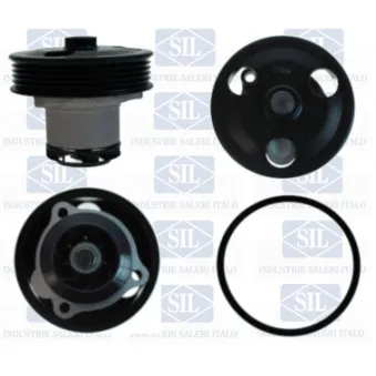 Pompe à eau Saleri SIL PA1705