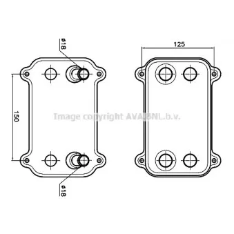 Radiateur d'huile AVA QUALITY COOLING PR3103