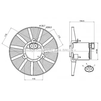 Ventilateur, refroidissement du moteur AVA QUALITY COOLING VN7443